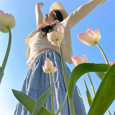 梨花劫